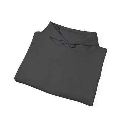 Unisex Heavy Blend™ Hooded Sweatshirt - DANA Shop