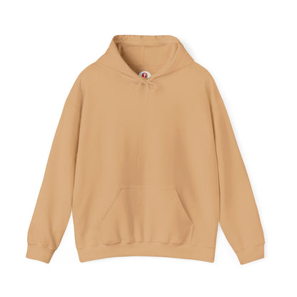 Unisex Heavy Blend™ Hooded Sweatshirt - DANA Shop