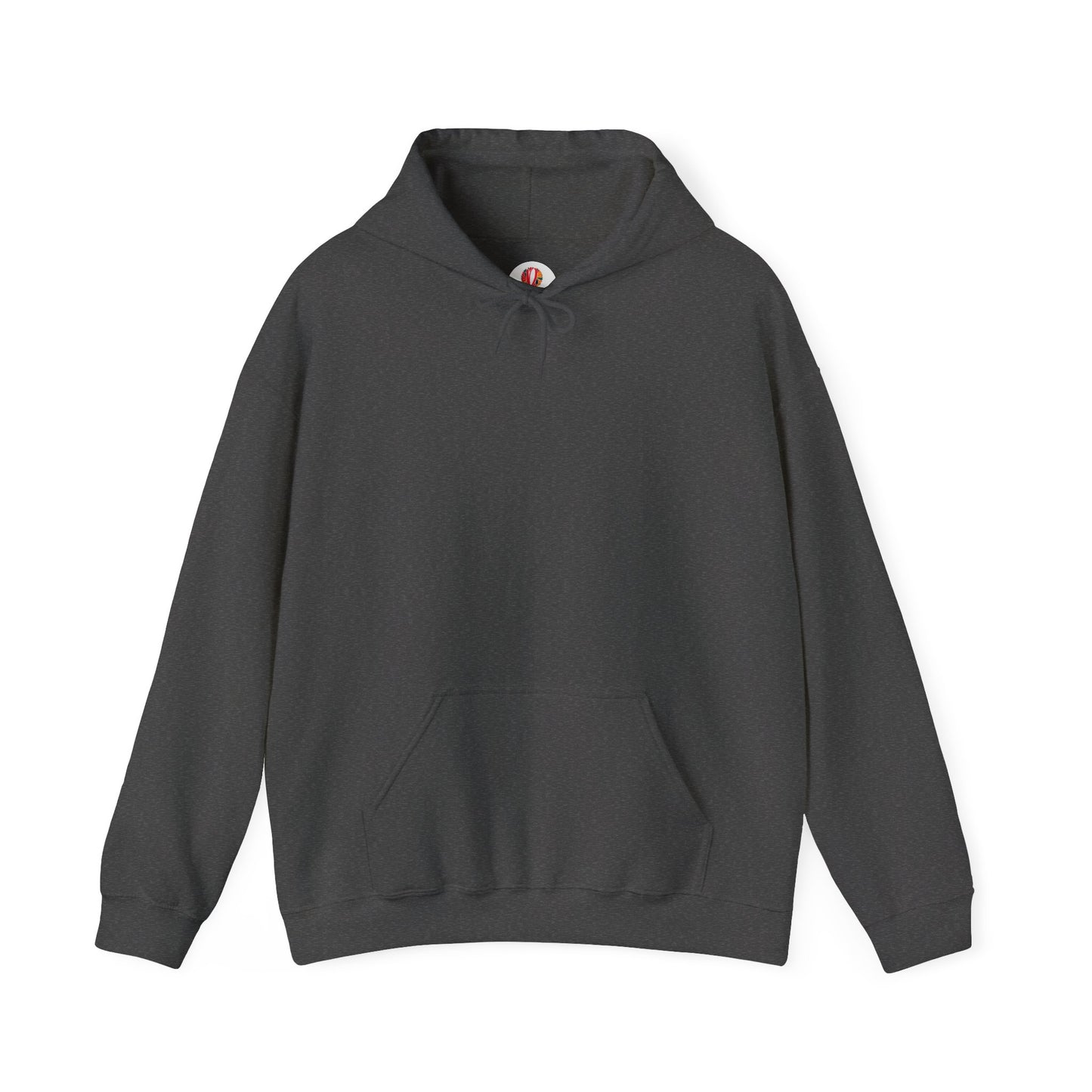 Unisex Heavy Blend™ Hooded Sweatshirt - DANA Shop
