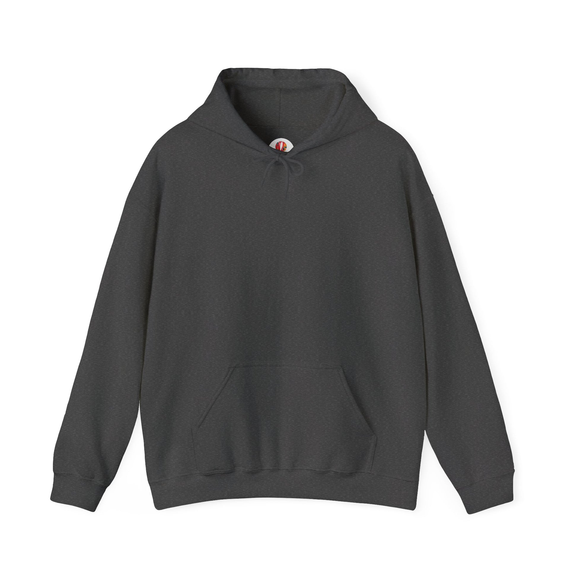 Unisex Heavy Blend™ Hooded Sweatshirt - DANA Shop