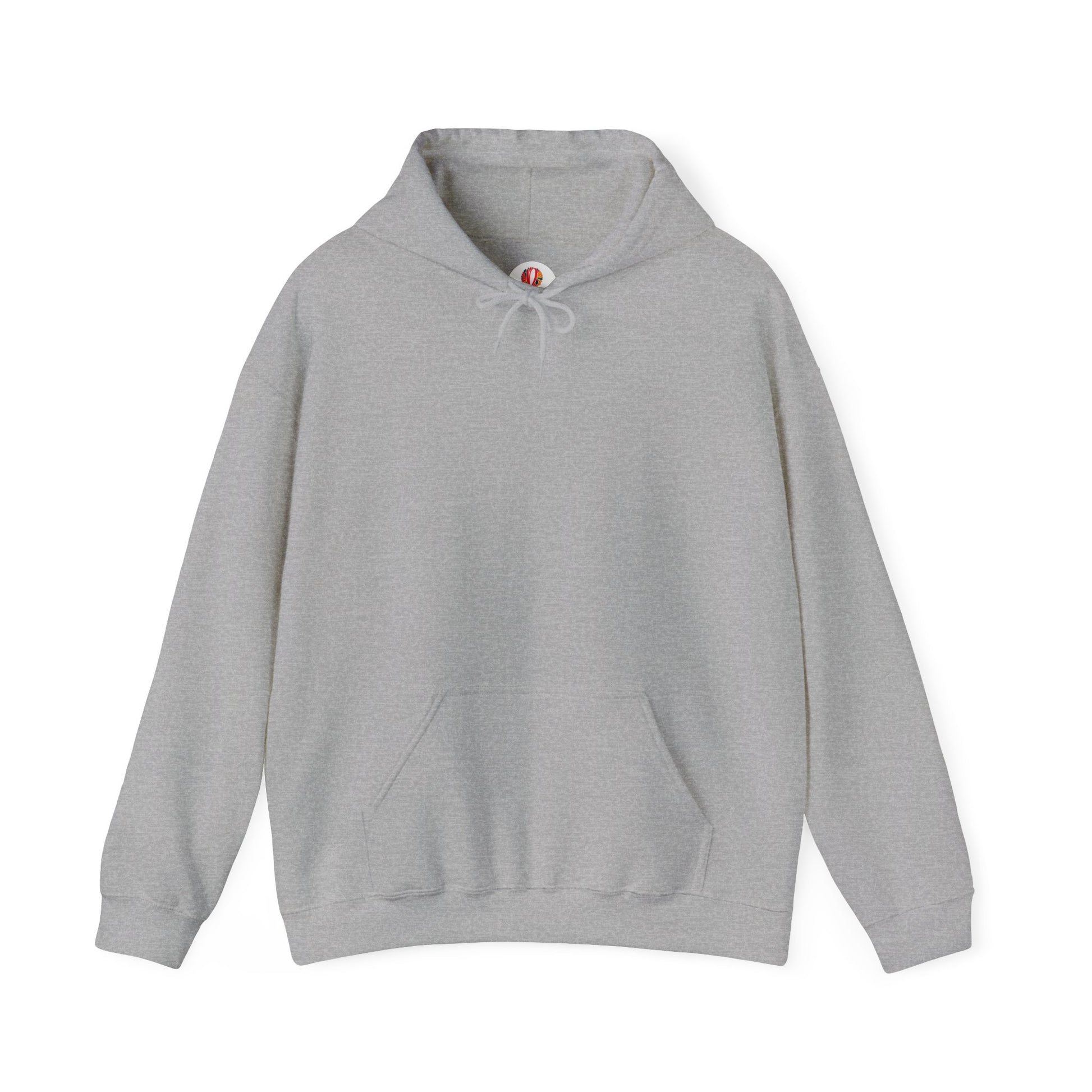 Unisex Heavy Blend™ Hooded Sweatshirt - DANA Shop
