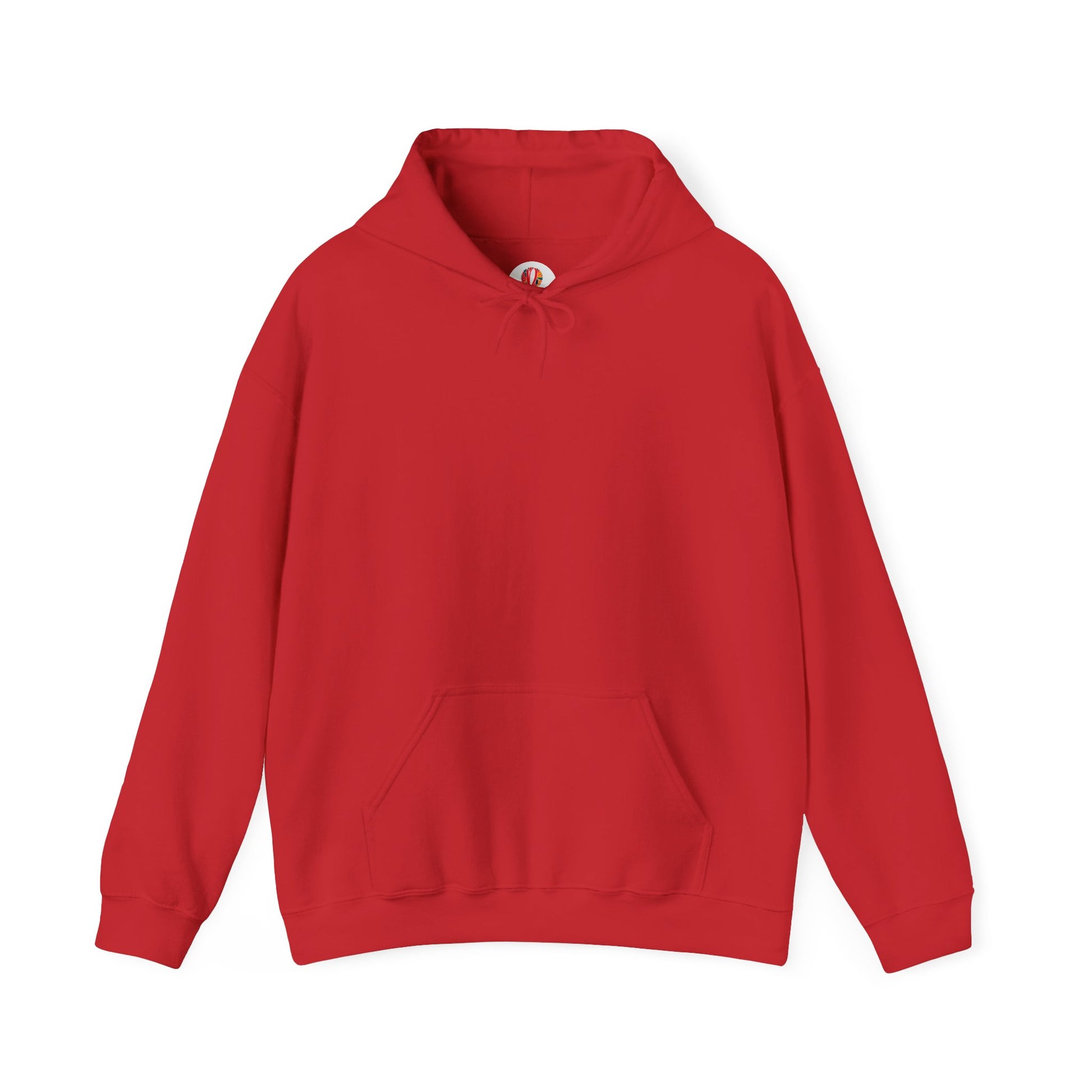 Unisex Heavy Blend™ Hooded Sweatshirt - DANA Shop
